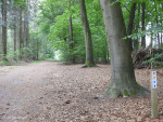 Lonnekerberg